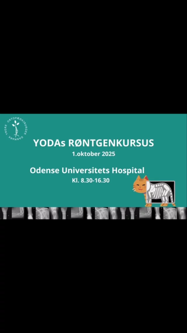 Røntgen kursus i Syd